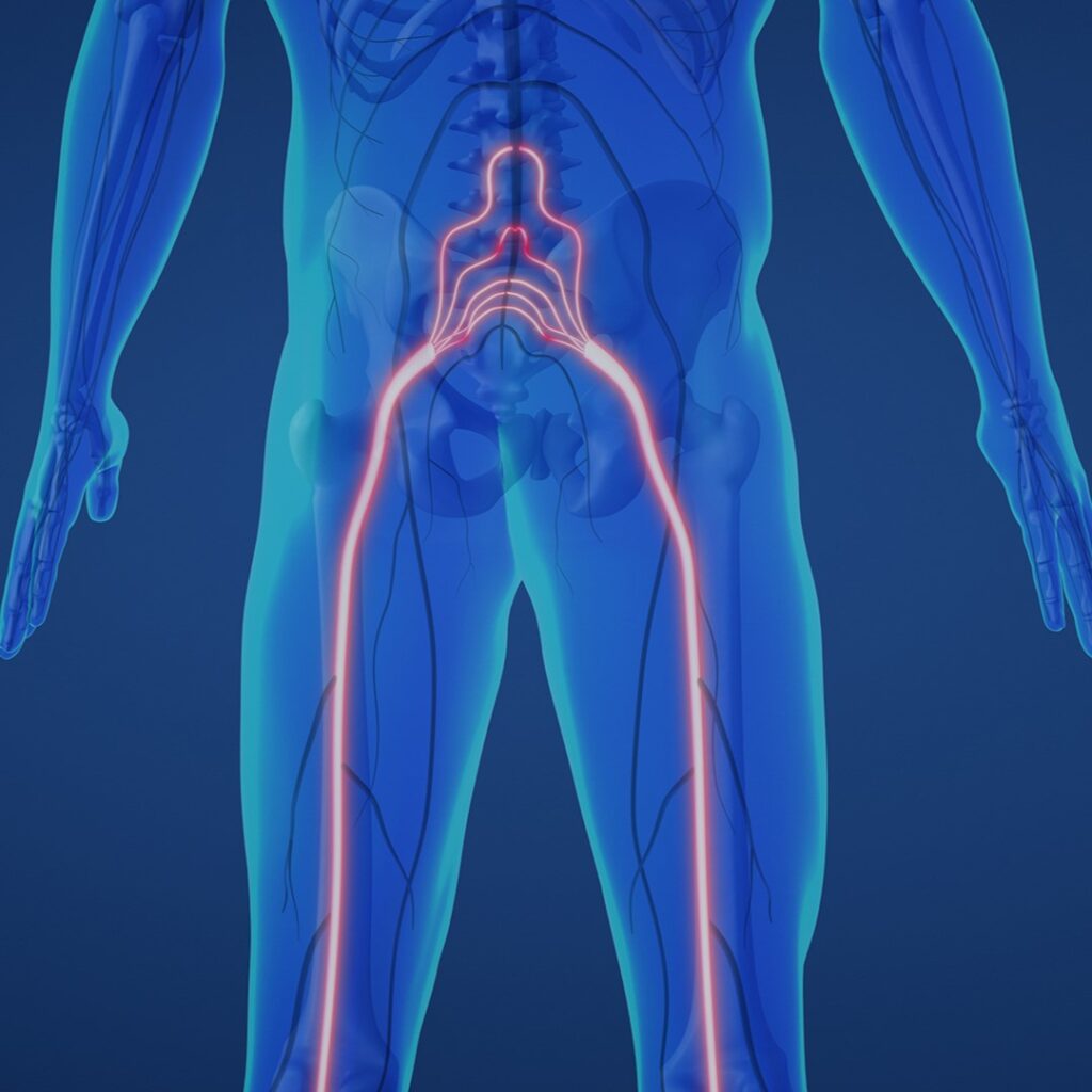 Professional with  model  of spine watching image of chest  at x-ray film viewer. 